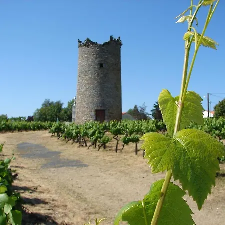 Relais De La Riniere Bed and Breakfast *