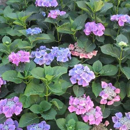 Relais De La Riniere Le Landreau