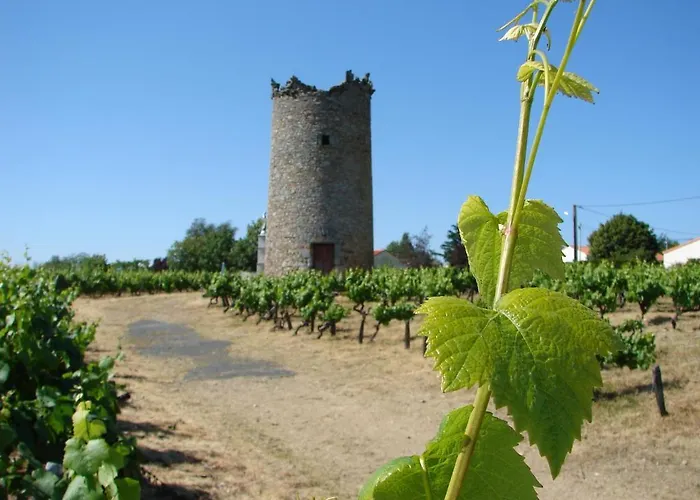 Relais De La Riniere B&B *