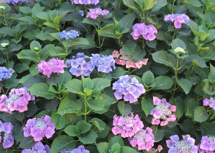 Relais De La Riniere Le Landreau